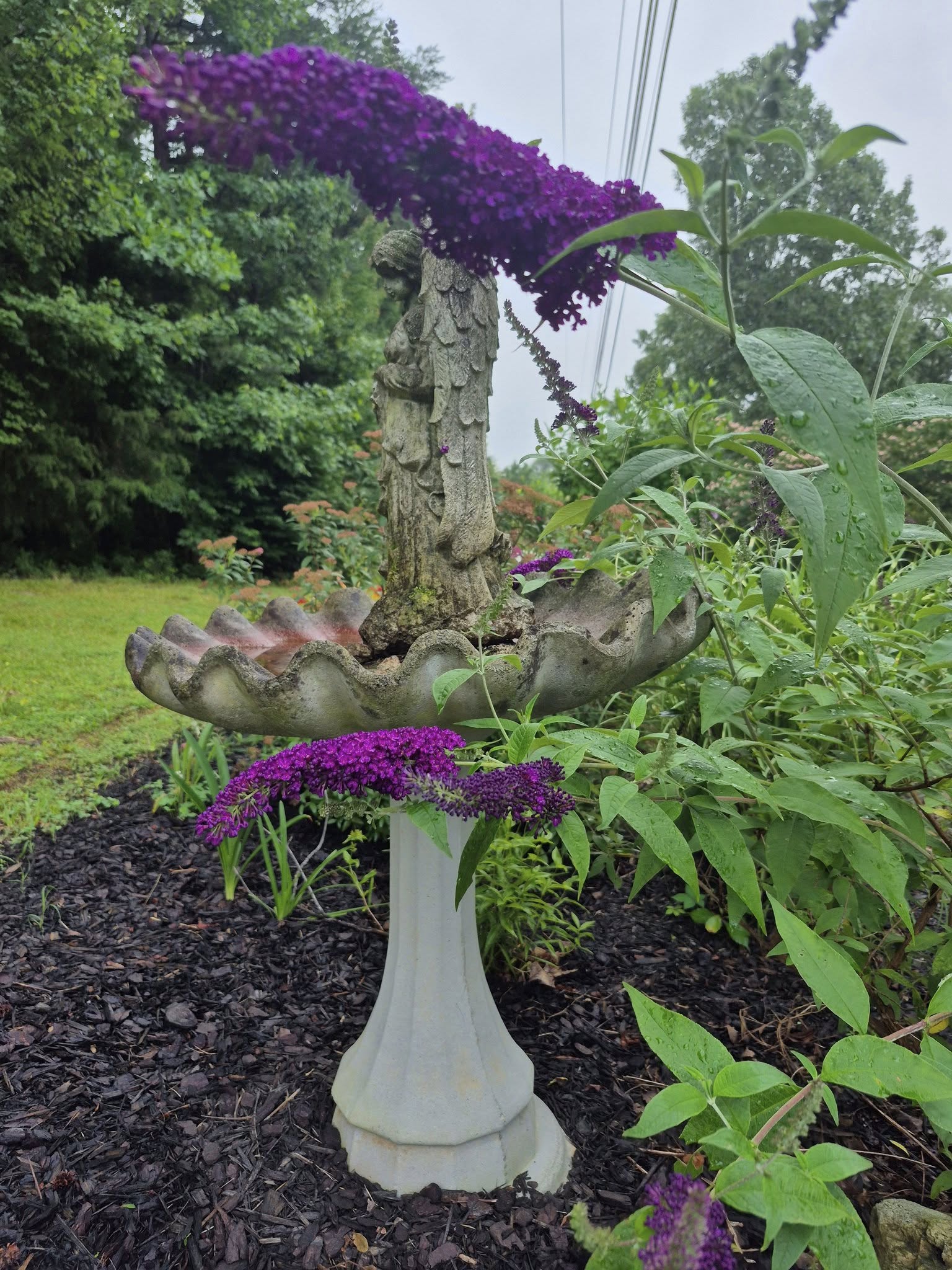 Image 15