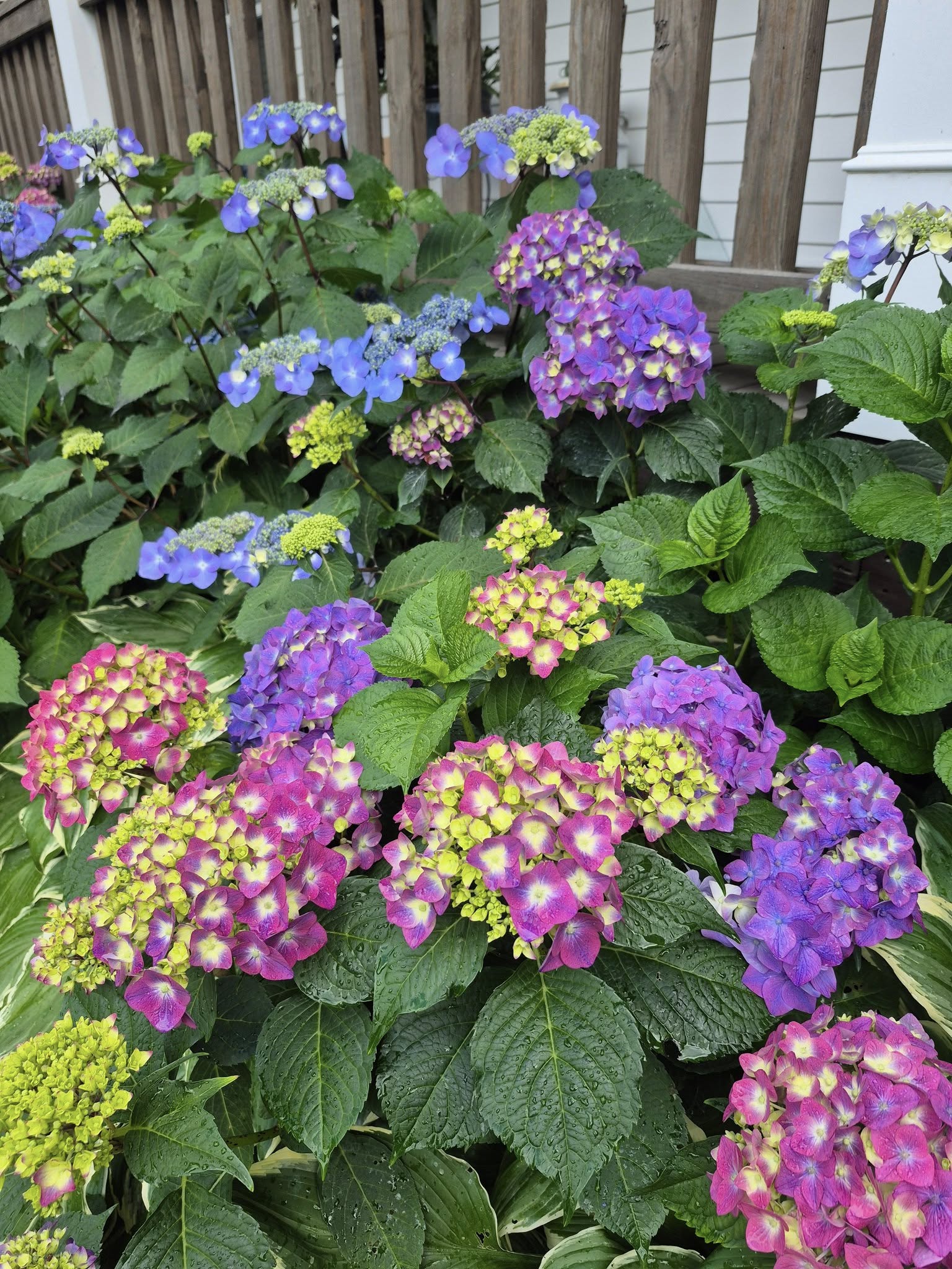 Image 24